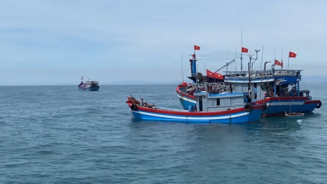 Ngư dân Quảng Ngãi xuất bến ra khơi, ăn Tết trên biển (15/1/2023)