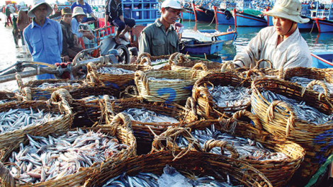 LỘC BIỂN (25/01/2023 - M4 Tết Âm lịch)