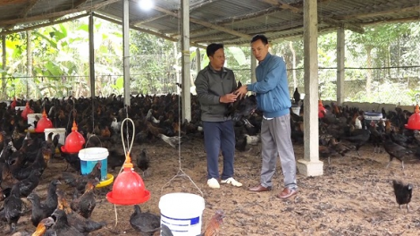 Giá lợn hơi và các mặt hàng thực phẩm ở Yên Bái ổn định dịp giáp Tết (16/01/2023)