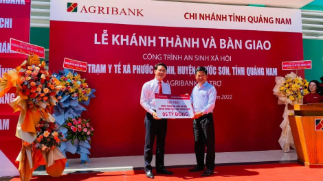 Bông hoa giữa núi rừng Phước Sơn, Quảng Nam (14/01/2023)