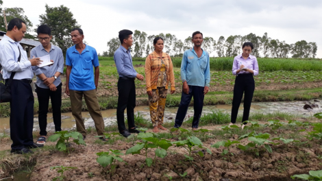 Đón Xuân Quý Mão 2023 gặp gia đình anh Danh Giang, nông dân Khmer sản xuất giỏi (16/1/2023)