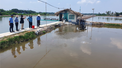 Phát huy tốt giá trị thương hiệu đặc sản Cần Giờ. (13/10/2023)