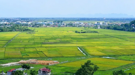 Ngành thuế khẩn trương triển khai thực hiện giảm tiền thuê đất theo Quyết định 25 của Chính phủ (14/10/2023)
