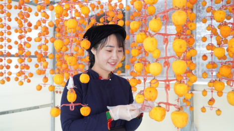 Vương Thị Thương: cô gái Tày với khát vọng nâng tầm giá trị Hồng vành khuyên (19/10/2023)