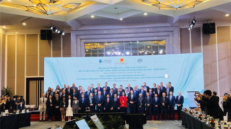 Phó Thủ tướng Chính phủ Trần Lưu Quang tham dự Diễn đàn Bộ trưởng OECD - Đông Nam Á (26/10/2023)