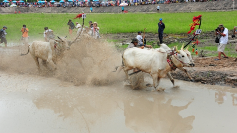 An Giang: tổ chức nhiều hoạt động văn hóa, thể thao dịp lễ Senl Đolta của đồng bào Khmer (03/10/2023)