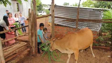 Gia Lai: Trao sinh kế cho trẻ em hoàn cảnh khó khăn (23/10/2023)