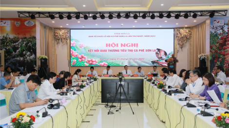 Sơn La làm gì để phát triển bền vững, nâng tầm giá trị cà phê? (21/10/2023)
