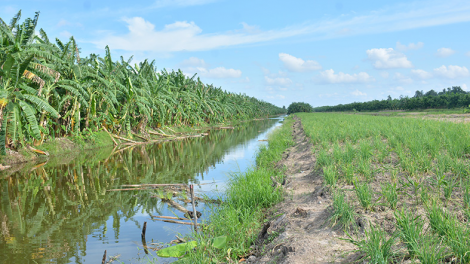 Khát vọng khởi nghiệp từ tài nguyên bản địa tại khu Ramsar U Minh Thượng (20/4/2023)