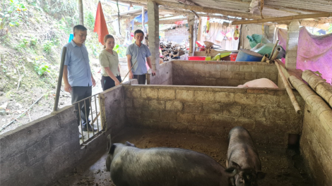 Tỉnh nghèo nguy cơ trả lại Trung ương hàng trăm tỉ đồng vốn chương trình Mục tiêu Quốc gia (27/10/2023)