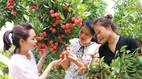 Bắc Giang phát huy bản sắc văn hoá trong xây dựng nông thôn mới (20/10/2023)