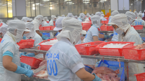 Thu hút doanh nghiệp đầu tư vào nông nghiệp, nông thôn gặp khó vì tiềm ẩn nhiều rủi ro (30/10/2023)
