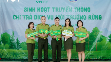Những đóa hoa xanh giữa đại ngàn Việt Bắc (23/10/2023)