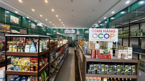 Hà Tĩnh nâng cao chất lượng an toàn nông sản, thực phẩm những tháng cuối năm (19/10/2023)