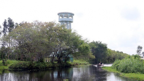 Khu Ramsar U Minh Thượng – Hệ sinh thái đa dạng phong phú (30/08/2023)