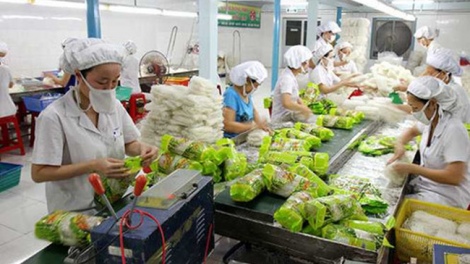 kim ngạch xuất khẩu rau quả lập kỷ lục mới