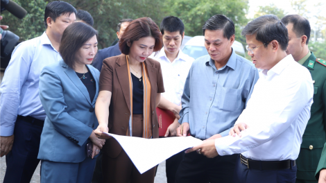 Hải Phòng: Yêu cầu xử lý dứt điểm vi phạm đất đai và xây dựng tại Đồ Sơn (24/11/2023)