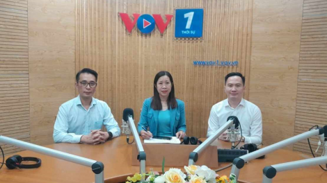 Những vấn đề đặt ra trong nỗ lực để Việt Nam in dấu đậm nét vào ngành vi mạch bán dẫn toàn cầu (14/11/2023)