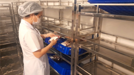 ĐBSCL: Thiếu máu trầm trọng - Bác sĩ và bệnh nhân cùng khổ (12/11/2023)
