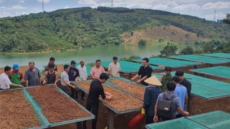 Giúp vốn cho bà con người dân tộc thiểu số sản xuất, đẩy lùi tín dụng đen (21/11/2023)