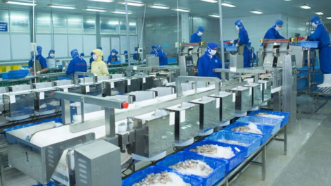 Đà Nẵng: Cuối năm lặp lại tình trạng thiếu hụt lao động phổ thông (24/11/2023)