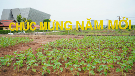 Tết này người dân TP.HCM có thêm điểm vui chơi giải trí ven sông (29/11/2023)
