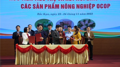 Kết nối giao thương khu vực, cơ hội cho sản phẩm công nghiệp nông thôn Bắc Kạn (24/11/2023)