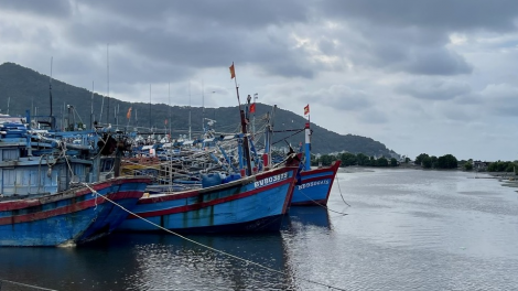 Bà Rịa – Vũng Tàu không để phát sinh điểm nóng gây ô nhiễm môi trường (11/11/2023)