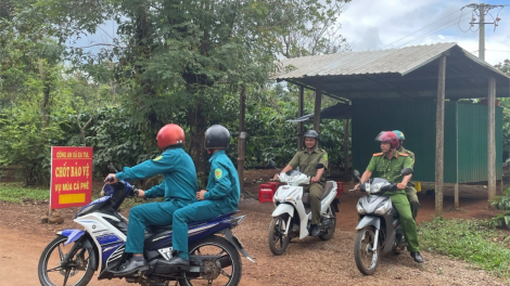 Đắk Lắk: Đẩy mạnh công tác tuần tra đảm bảo an ninh, an toàn vụ cà phê 2023 (04/11/2023)