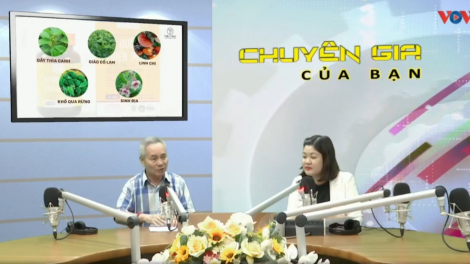 Sử dụng thuốc tiểu đường và giải pháp giúp hạn chế tác dụng phụ (11/11/2023)