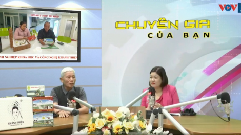 Chữa bệnh đông y hiệu quả nhờ sử dụng máy cứu ngải và thuốc bào chế từ ngải cứu (16/11/2023)