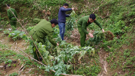 Đại úy người Tày Ma Kiên Hùng - Gương mặt trẻ Công an tiêu biểu tỉnh Cao Bằng (2/11/2023)