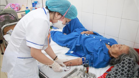 Chủ động phòng, chống bệnh sốt xuất huyết (4/11/2023)