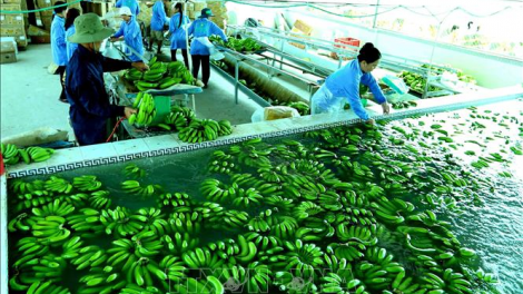 Sáng 24/11/2023 sẽ diễn ra Diễn đàn Xúc tiến xuất khẩu 2023 với chủ đề “Xúc tiến xuất khẩu xanh” tại Hà Nội (22/11/2023)