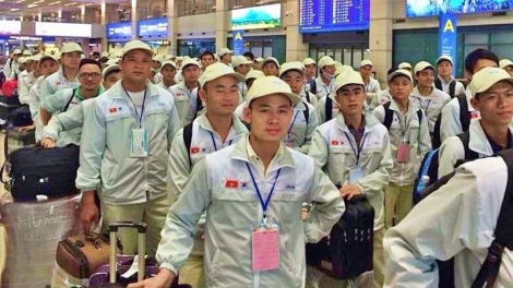 Năm 2023: Khoảng 85.000 lao động sang làm việc tại Nhật Bản (22/12/2023)
