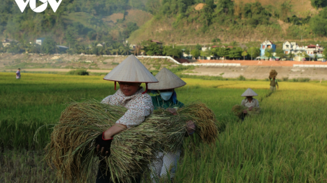 70 năm sau giải phóng, "Thị xã nhỏ hẹp trong tầm 1 tiếng gọi" giờ ra sao? (12/12/2023)