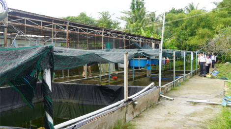 Sản xuất “xanh” lương thực, thực phẩm: Chập chững bước đi ban đầu (26/12/2023)