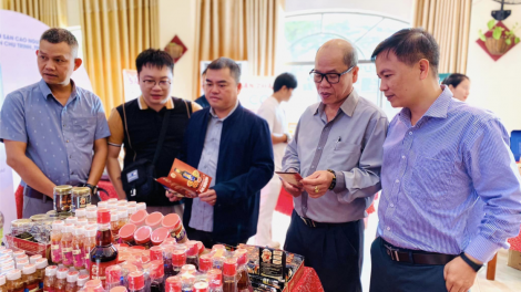 Đắk Lắk – Quảng Ngãi xúc tiến thương mại và kết nối giao thương sản phẩm OCOP (19/12/2023)