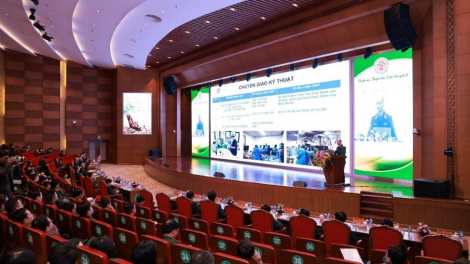 Nhiều kỹ thuật ghép mô, tạng được triển khai trong công tác tuyến bệnh viện (28/12/2023)