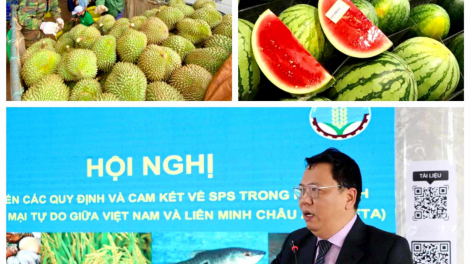 Tiềm năng và thách thức khi xuất khẩu nông sản vào thị trường Trung Quốc (28/12/2023)