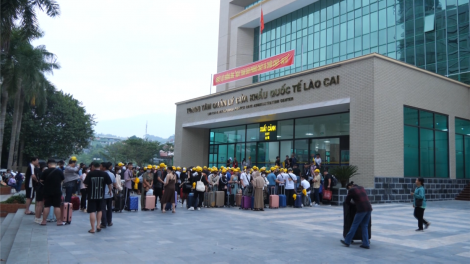 Doanh nghiệp nhỏ ở Lào Cai kết nối vượt khó (16/12/2023)