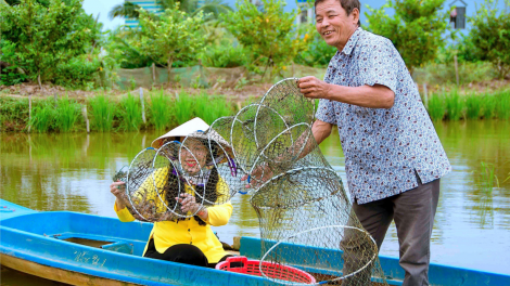 Gắn kết phát triển du lịch thành phố Hồ Chí Minh với vùng Đồng bằng sông Cửu Long (10/12/2023)