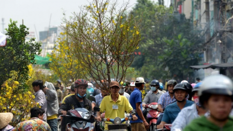 THỜI SỰ 21H30 NGÀY  05/12/2023: Thủ tướng Chính phủ ban hành công điện về bảo đảm trật tự, an toàn giao thông dịp Tết Dương lịch, Tết Nguyên đán Giáp Thìn và Lễ hội xuân 2024