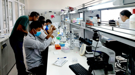 Các nhà khoa học Viện Hàn lâm KHCN Việt Nam công bố hơn 2.200 công trình nghiên cứu trong năm 2023 (22/12/2023)