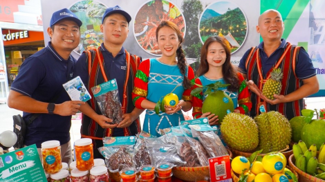 Đào tạo nghề, tạo việc làm cho đồng bào dân tộc thiểu số (26/12/2023)