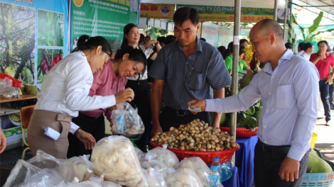 Làm gì để lan toả giá trị sản phẩm OCOP ở Bà Rịa – Vũng Tàu? (29/12/2023)