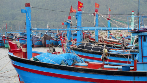 Quảng Ngãi hơn 700 tàu cá nằm bờ do không đăng ký, đăng kiểm (18/12/2023)