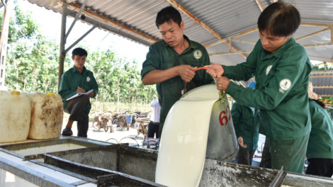 Xanh hóa hoạt động sản xuất, cơ hội mới cho ngành cao su (26/12/2023)