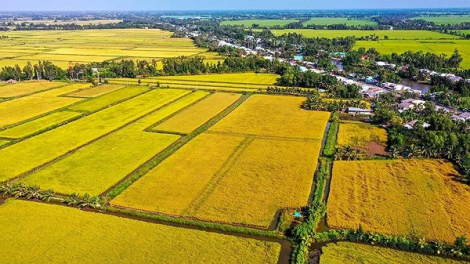 Cách giảm phát thải khí nhà kính trong sản xuất nông nghiệp (07/02/2023)