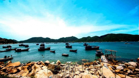 Duyên hải Nam Trung bộ: Tích hợp phát triển nông nghiệp bền vững (08/02/2023)